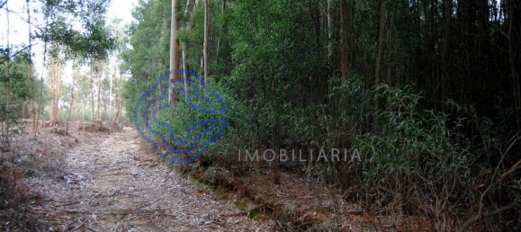 16212m² Land in Vila Nova de Gaia, Portugal No. 47832 14