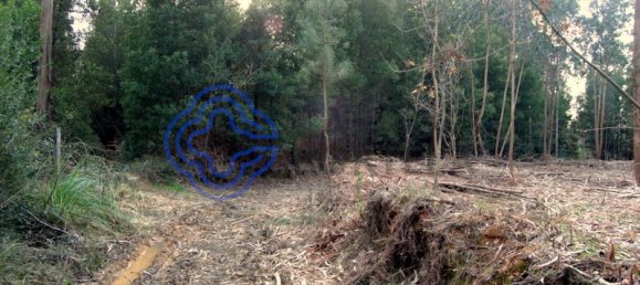 16212m² Land in Vila Nova de Gaia, Portugal No. 47832 16