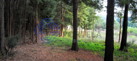 16212m² Land in Vila Nova de Gaia, Portugal No. 47832 7