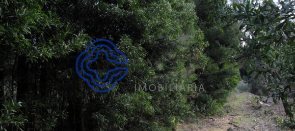 16212m² Land in Vila Nova de Gaia, Portugal No. 47832 8