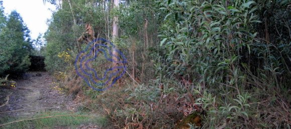 16212m² Land in Vila Nova de Gaia, Portugal No. 47832 11