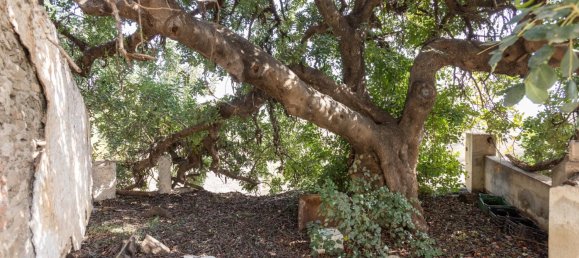 2 غرف نوم منزل في Salobrena, Spain رقم 160363 18