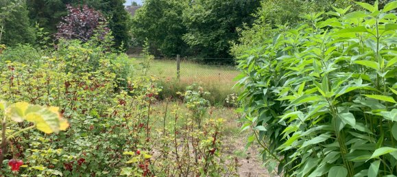 Terrain à Luneburg, Germany No. 173917 2