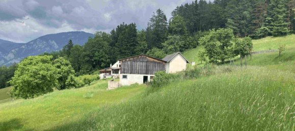 5غرفة منزل في Payerbach, Austria رقم 159662 8