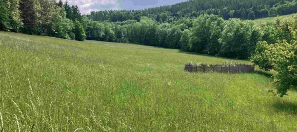 5غرفة منزل في Payerbach, Austria رقم 159662 12