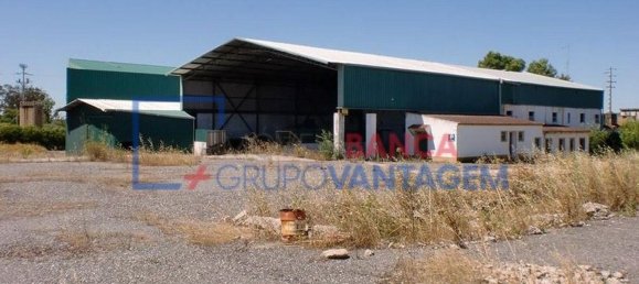 1286m² Warehouse in Crato, Portugal No. 86663 30