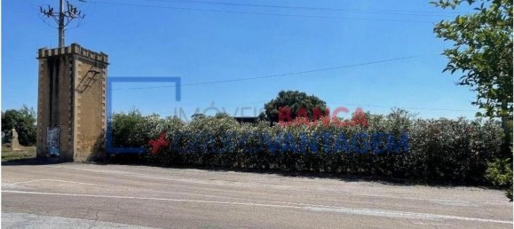 1286m² Warehouse in Crato, Portugal No. 86663 20