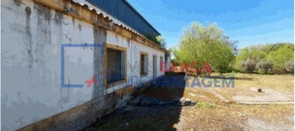 1286m² Warehouse in Crato, Portugal No. 86663 5