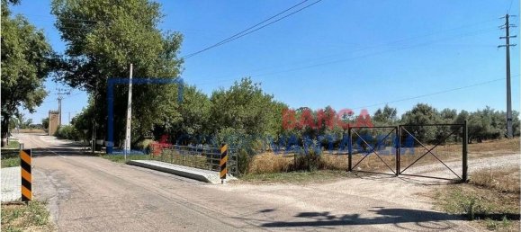 1286m² Warehouse in Crato, Portugal No. 86663 21