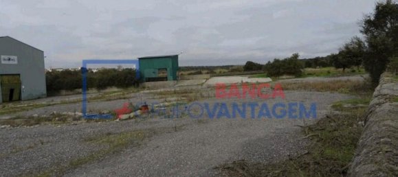 1286m² Warehouse in Crato, Portugal No. 86663 24