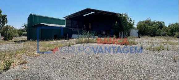 1286m² Warehouse in Crato, Portugal No. 86663 2