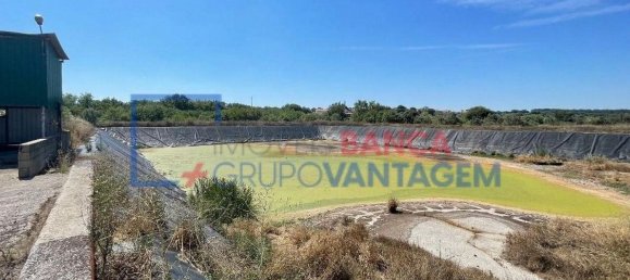1286m² Warehouse in Crato, Portugal No. 86663 4