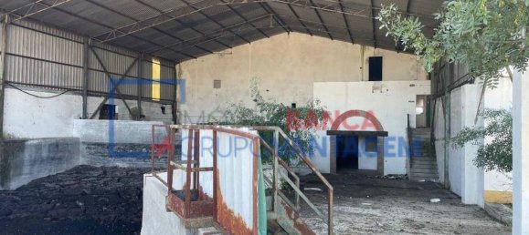 1286m² Warehouse in Crato, Portugal No. 86663 8