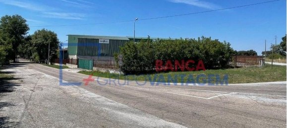 1286m² Warehouse in Crato, Portugal No. 86663 19
