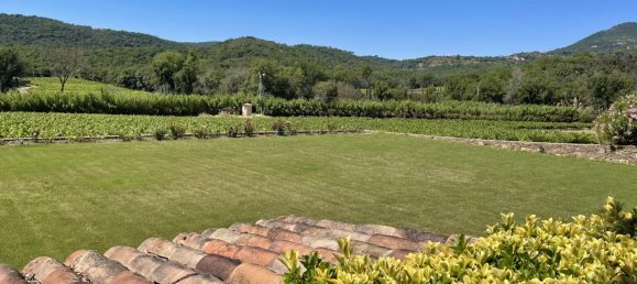 Propiedad comercial en Grimaud, France 380 m² No. 1570 8