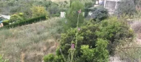 867m² Land in Jalon, Spain No. 176981 18