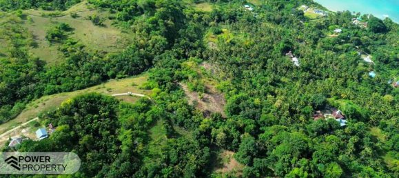 Terrain à East Nusa Tenggara, Indonesia 4002m² No. 4521 10