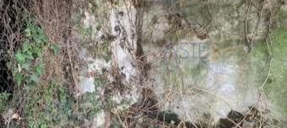 24 bedrooms House in Fubine Monferrato, Italy No. 355640 10