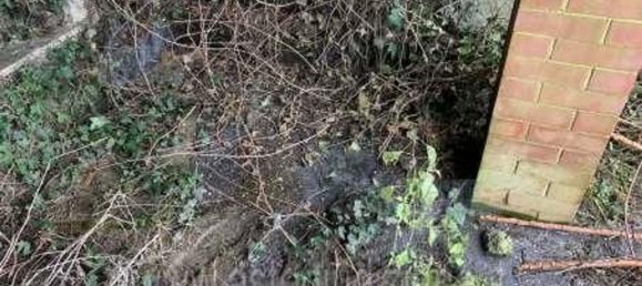 24 bedrooms House in Fubine Monferrato, Italy No. 355640 11