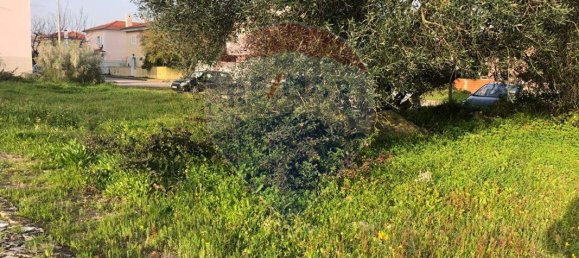 Grundstück in Palmela, Portugal 252m², Nr. 55869 2