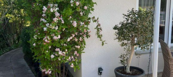 8غرفة منزل في Rhineland-Palatinate, Germany رقم 324955 9