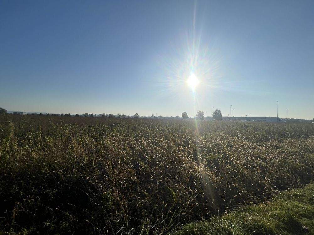  قطعة أرض في Strassgang, Austria رقم 171148