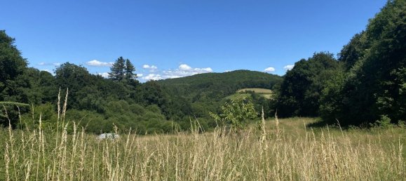 5 غرف نوم منزل في Perols-sur-Vezere, France رقم 302571 14
