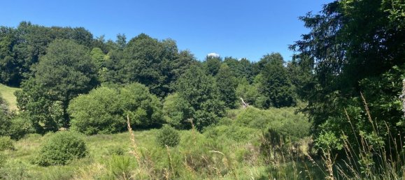 5 غرف نوم منزل في Perols-sur-Vezere, France رقم 302571 11