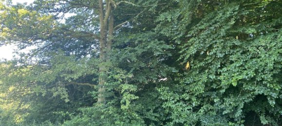 5 غرف نوم منزل في Perols-sur-Vezere, France رقم 302571 15