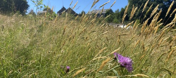 5 غرف نوم منزل في Perols-sur-Vezere, France رقم 302571 18