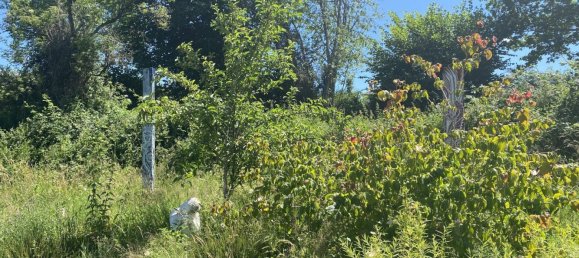 5 غرف نوم منزل في Perols-sur-Vezere, France رقم 302571 10