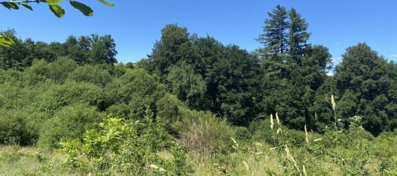 5 غرف نوم منزل في Perols-sur-Vezere, France رقم 302571 16