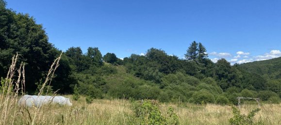 5 غرف نوم منزل في Perols-sur-Vezere, France رقم 302571 7