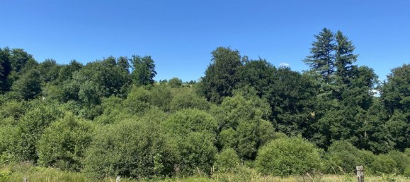 5 غرف نوم منزل في Perols-sur-Vezere, France رقم 302571 17