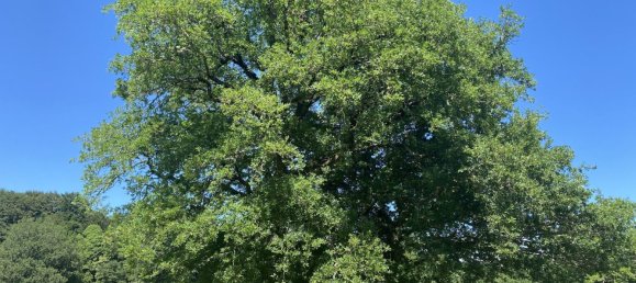 5 غرف نوم منزل في Perols-sur-Vezere, France رقم 302571 12