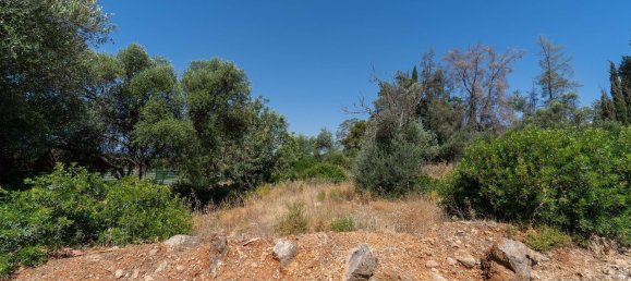 2060m² Land in Loule, Portugal No. 37661 17