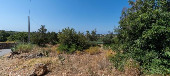 2060m² Land in Loule, Portugal No. 37661 8