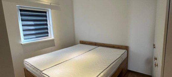 Casa de 8 habitaciónes en Seibersdorf, Austria No. 238195 17