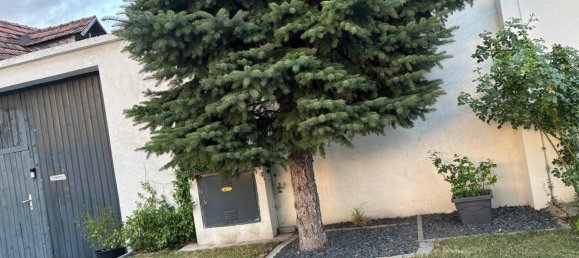 Casa de 8 habitaciónes en Seibersdorf, Austria No. 238195 3