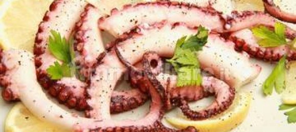 Propiedad comercial de 2 habitaciónes en Borgio Verezzi, Italy No. 189117 11