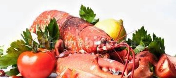 Propiedad comercial de 2 habitaciónes en Borgio Verezzi, Italy No. 189117 38