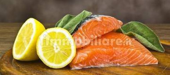 Propiedad comercial de 2 habitaciónes en Borgio Verezzi, Italy No. 189117 10