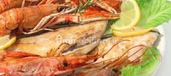 Propiedad comercial de 2 habitaciónes en Borgio Verezzi, Italy No. 189117 26