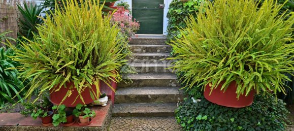 8 Schlafzimmer Villa in Oeiras, Portugal, Nr. 102850 3