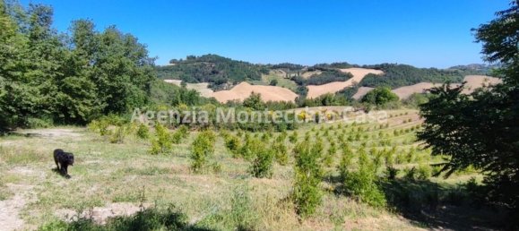 10 rooms House in Pesaro and Urbino, Italy No. 111482 8