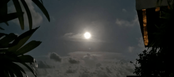 5 bedrooms Villa in Karon, Thailand No. 12520 4