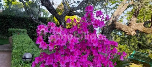 1 غرف نوم فيلا في Stalettì, Italy رقم 113106 2