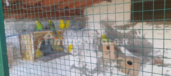 1 غرف نوم فيلا في Stalettì, Italy رقم 113106 45