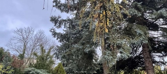 2 Schlafzimmer Haus in Magdeburg, Germany, Nr. 74109 5