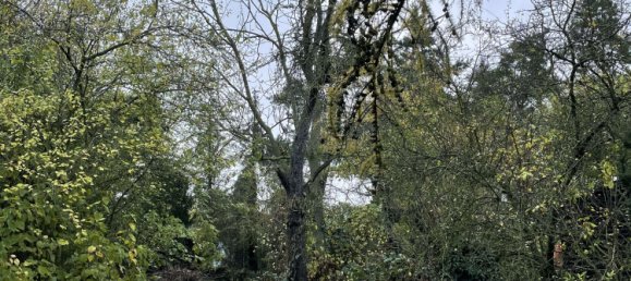 2 Schlafzimmer Haus in Magdeburg, Germany, Nr. 74109 4